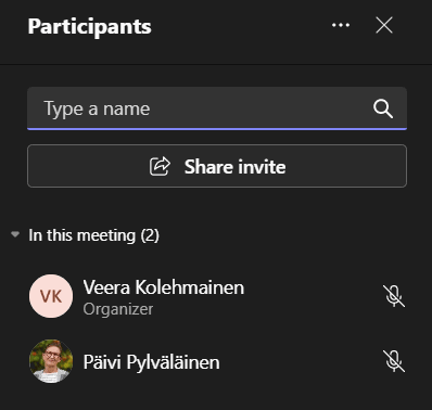 Kuvassa Osallistujaruutu.